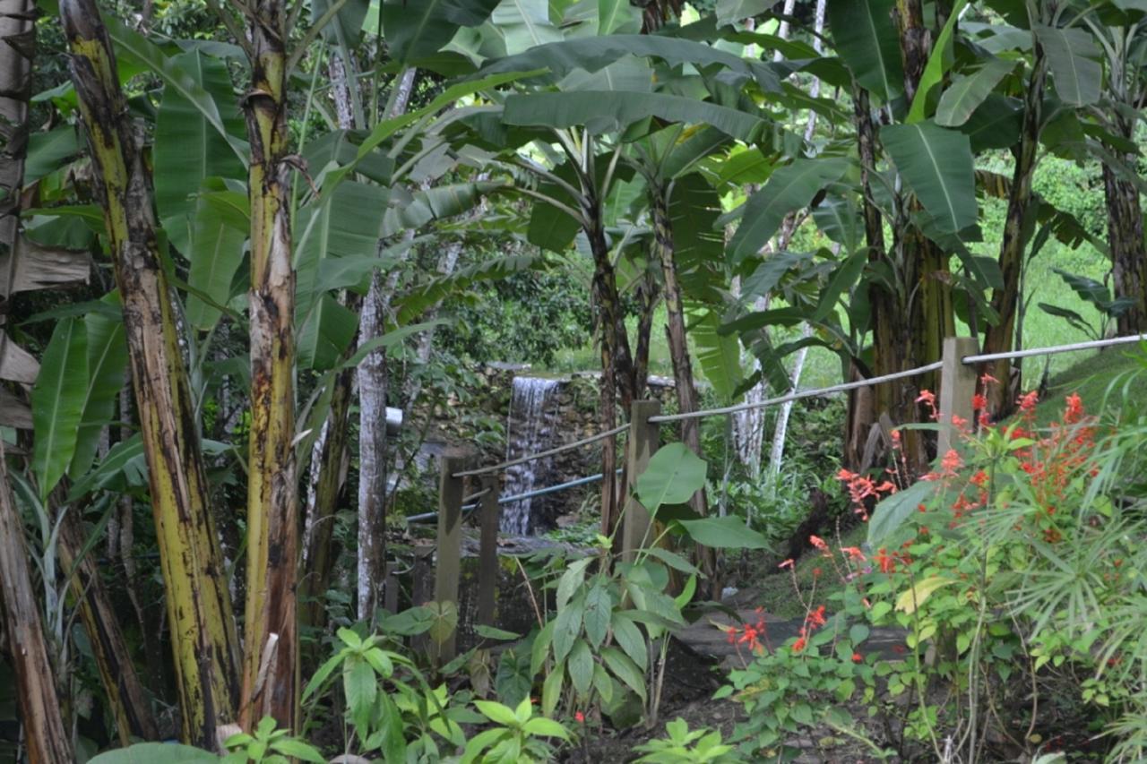 Sitio Alto Da Montanha - Voce Em Paz Com A Natureza Villa Pacoti Kültér fotó