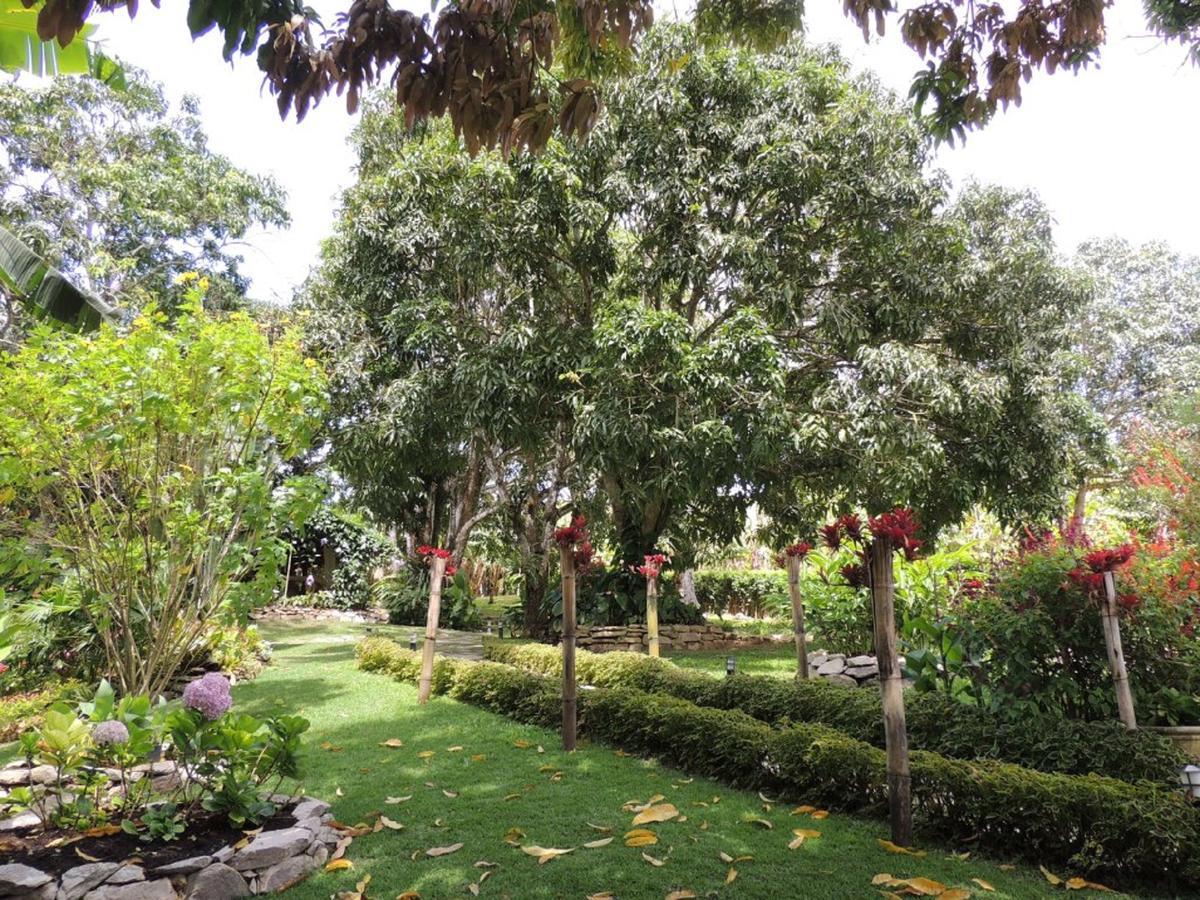 Sitio Alto Da Montanha - Voce Em Paz Com A Natureza Villa Pacoti Kültér fotó