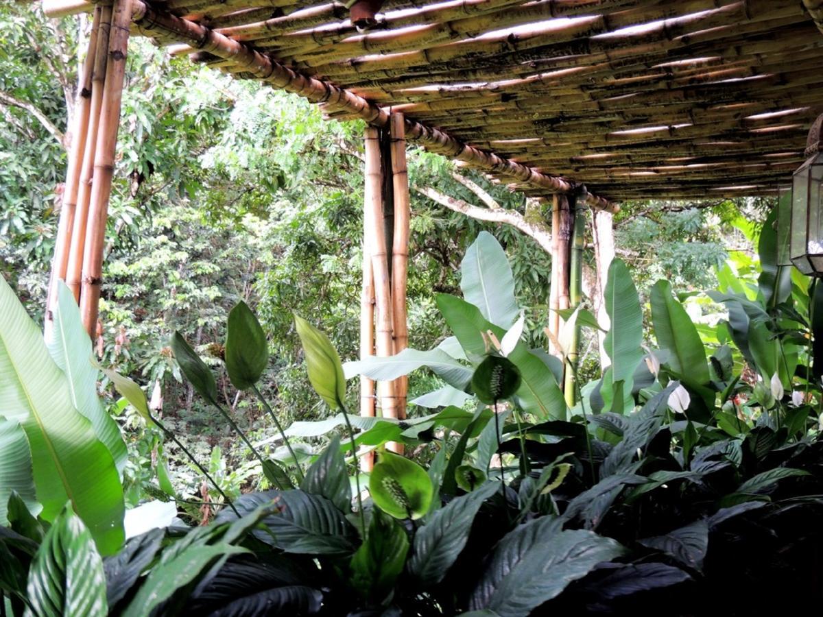 Sitio Alto Da Montanha - Voce Em Paz Com A Natureza Pacoti Kültér fotó