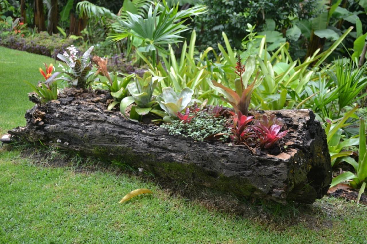 Sitio Alto Da Montanha - Voce Em Paz Com A Natureza Villa Pacoti Kültér fotó